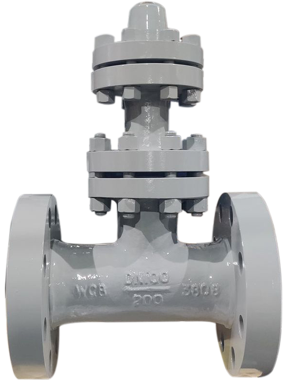 CHECK VALVE